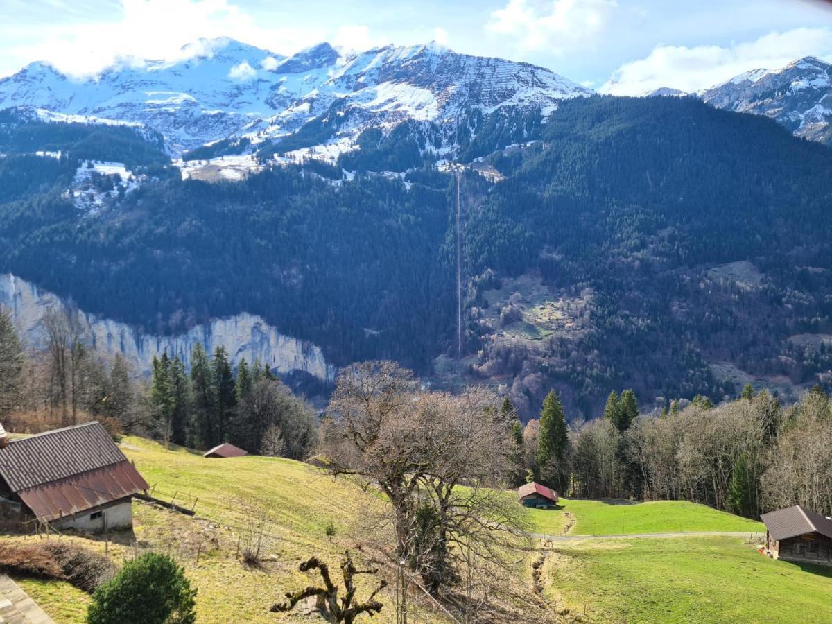 شقة Traditional Chalet In Wengen - Top Floor المظهر الخارجي الصورة