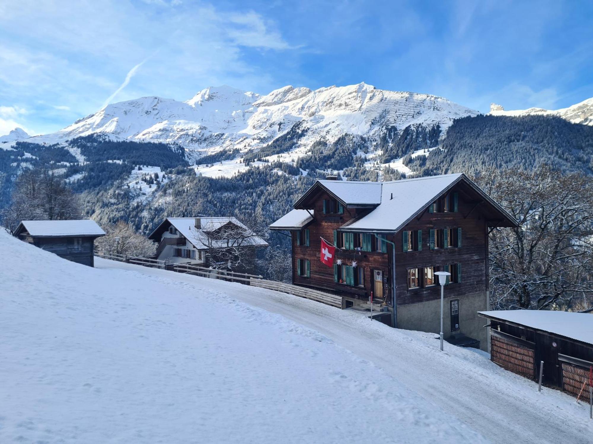 شقة Traditional Chalet In Wengen - Top Floor المظهر الخارجي الصورة