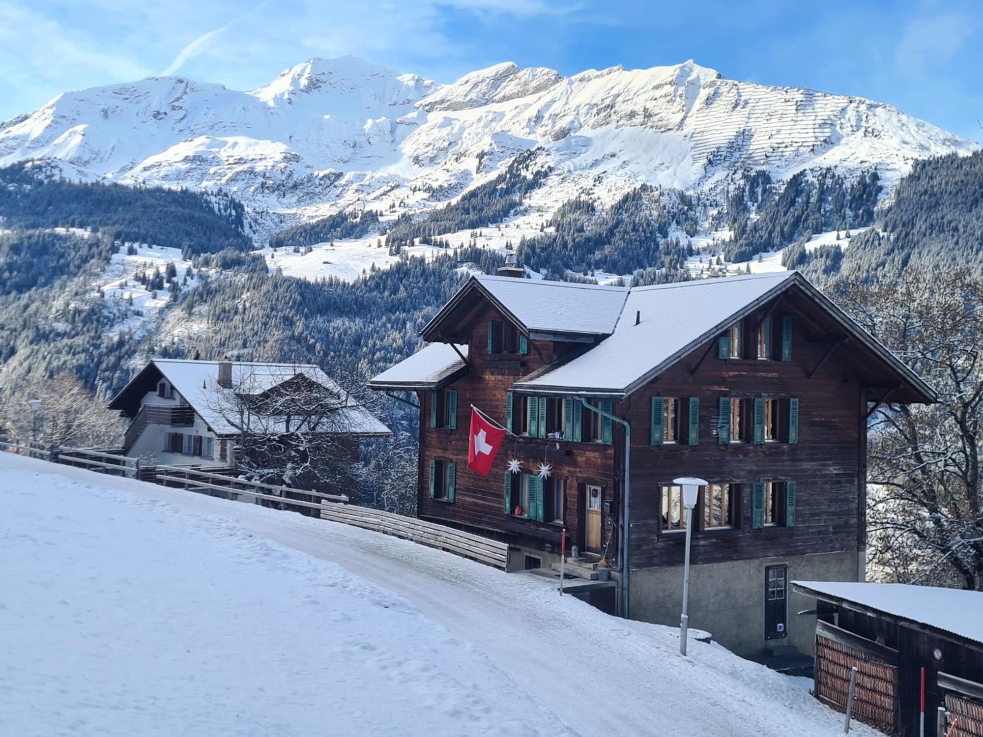 شقة Traditional Chalet In Wengen - Top Floor المظهر الخارجي الصورة